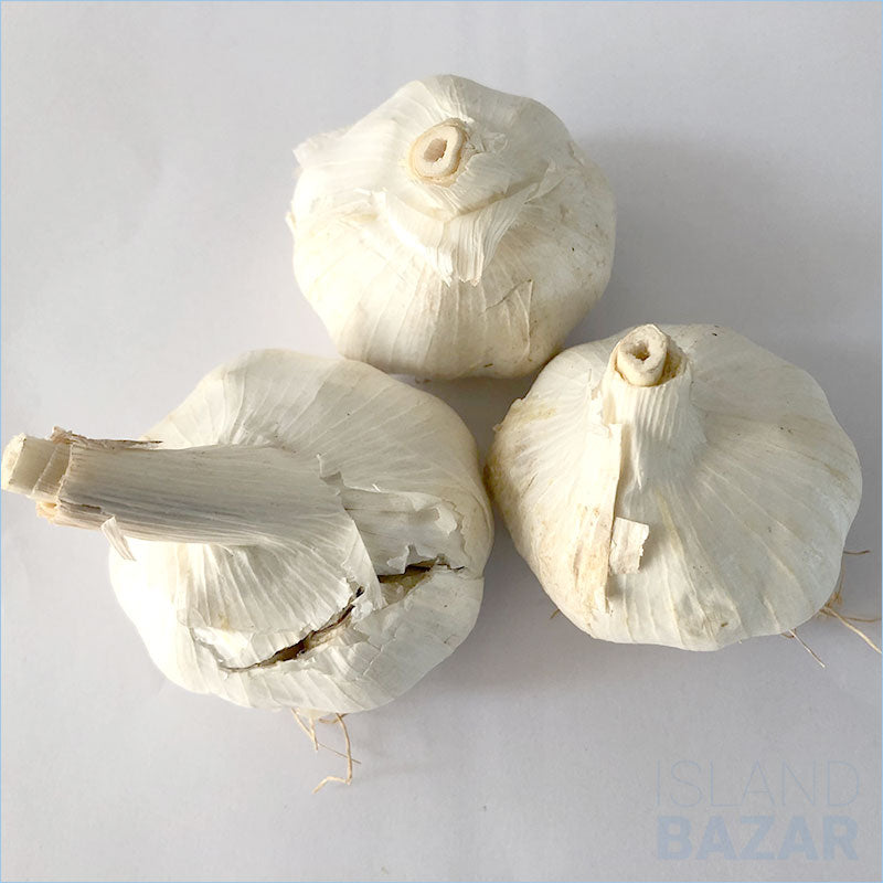 Garlic