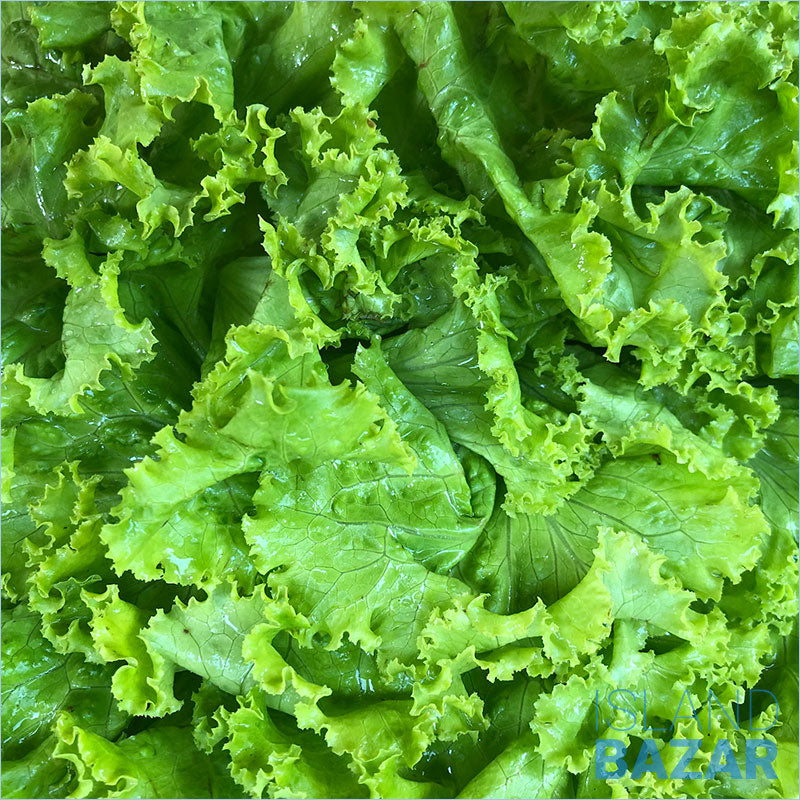 Lettuce