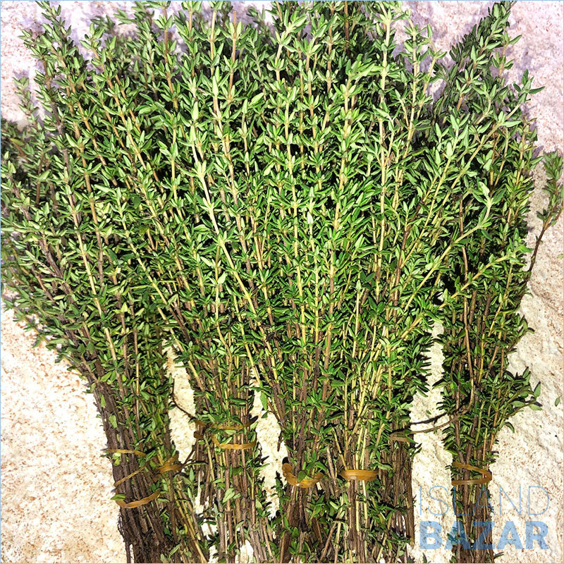 Thyme