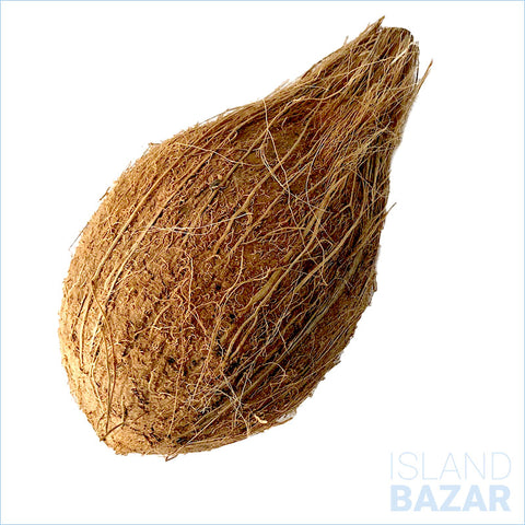 Coconut (Dry)