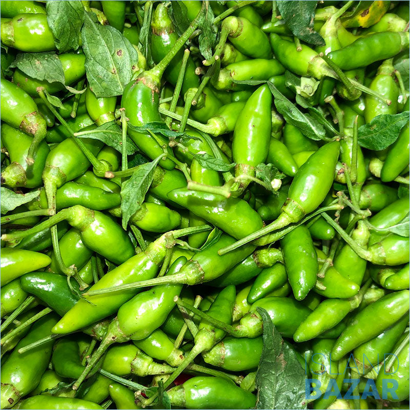 Chilli Green (Small)